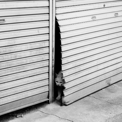 Photo/Street